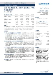 2021年三季报点评:大客户占比提升,市场开拓稳步前行