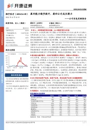 公司信息更新报告：盈利能力稳步提升，看好公司成长潜力