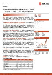 2021年第三季度报告点评：原料成本上涨业绩承压，电解液扩增提升产业地位