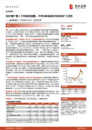 公告点评:拟定增扩建6万吨高纯硫酸,半导体新能源双轨驱动扩大优势