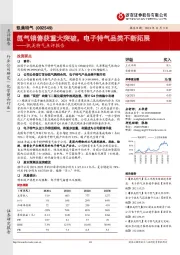 凯美特气点评报告：氙气销售获重大突破，电子特气品类不断拓展