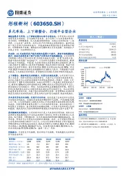 多元布局，上下游整合，打造平台型企业