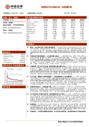 短期波动不改长期成长性，内销放量可期