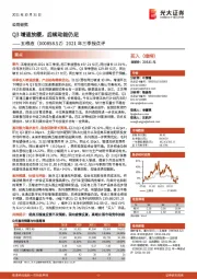 2021年三季报点评:Q3增速放缓,后续动能仍足
