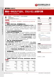 嘉亨家化深度报告:稀缺一体化生产龙头,日化小巨人前景可期