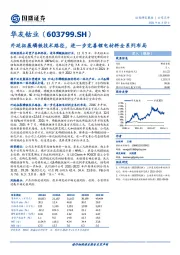 外延拓展磷铁技术路径，进一步完善锂电材料全系列布局