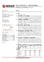 公司简评报告：模拟龙头份额不断扩充，有望实现逆周期增长