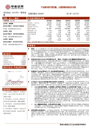 产业链布局不断完善，从强周期向高成长切换