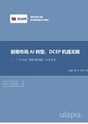 深度报告：前瞻布局AI转型，DCEP机遇无限