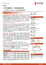 投资价值分析报告：一体化打造竞争力，下游应用动能切换