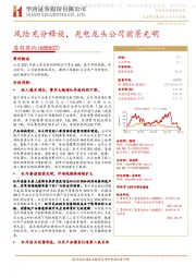 风险充分释放,光电龙头公司前景光明