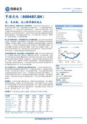 光、电共振，站上新周期的起点