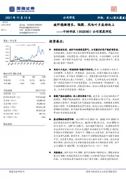 公司深度研究：玻纤稳健增长，隔膜、风电叶片底部向上