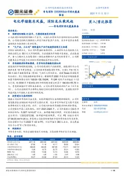 青鸟消防首次覆盖报告：电化学储能东风盛，消防龙头乘风起