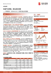 投资价值分析报告：布局产业转型，深化成本优势