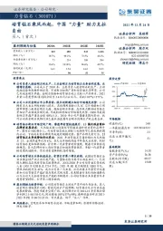 培育钻石乘风而起,中国“力量”助力克拉自由