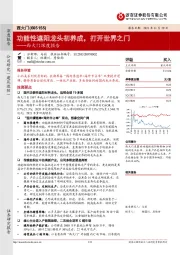 西大门深度报告:功能性遮阳龙头初养成,打开世界之门