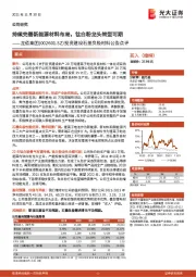 投资建设石墨负极材料公告点评：持续完善新能源材料布局，钛白粉龙头转型可期