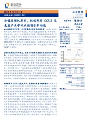 冷链压缩机龙头，积极布局CCUS及氢能产业带来业绩增长新动能