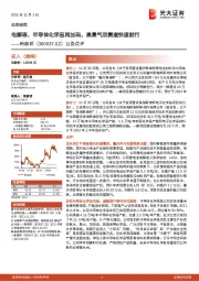 公告点评：电解液、半导体化学品再加码，高景气双赛道快速前行