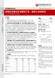 先导智能点评报告：签署欧洲锂电软包整线订单，国际化持续推进