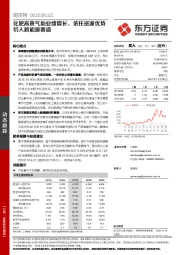 化肥高景气助业绩增长，依托资源优势切入新能源赛道