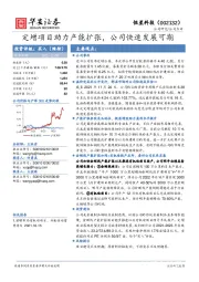 定增项目助力产能扩张，公司快速发展可期