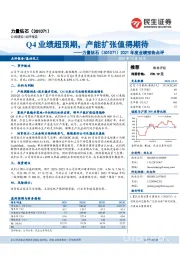 2021年度业绩预告点评：Q4业绩超预期，产能扩张值得期待