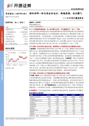 公司首次覆盖报告：锂电材料一体化进击的龙头：跨越周期，成长腾飞