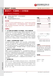 雅创电子深度报告:雅创电子:车规模拟IC自研新星!