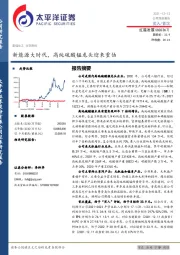 新能源大时代，高纯硫酸锰龙头迎来重估