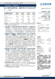 核心竞争优势明显，募投项目打开成长空间