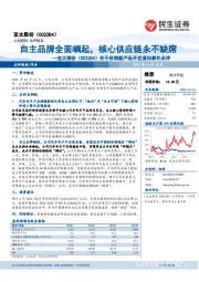 关于收到新产品开发通知事件点评：自主品牌全面崛起，核心供应链永不缺席