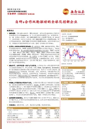 自研+合作双轮驱动的全球化创新企业
