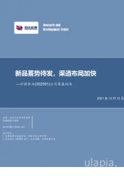 公司覆盖报告：新品蓄势待发，渠道布局加快