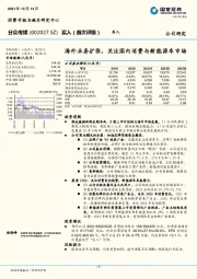 海外业务扩张，关注国内消费与新能源车市场