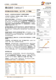 逆变器业务成中流砥柱，始于并网，壮于储能