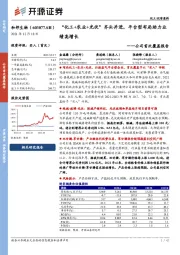 公司首次覆盖报告:“化工+农业+光伏”齐头并进,平台型布局助力业绩高增长