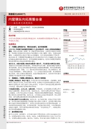 海泰新光深度报告：内窥镜纵向拓展整合者