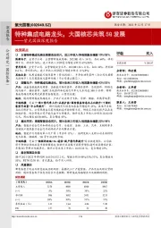 紫光国微深度报告:特种集成电路龙头,大国核芯共筑5G发展