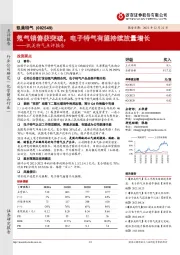 凯美特气点评报告:氖气销售获突破,电子特气有望持续放量增长