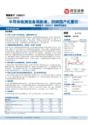 深度研究报告：半导体检测设备领航者，担纲国产化重任