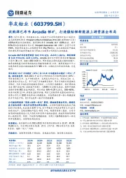 收购津巴布韦Arcadia锂矿，打造镍钴锂新能源上游资源全布局