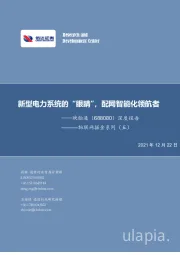 深度报告:物联网掘金系列(五)-新型电力系统的“眼睛”,配网智能化领航者