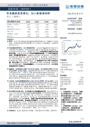 布局镍深度资源化，切入新能源材料