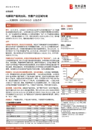 公告点评:电解液产能再加码,完善产业区域布局