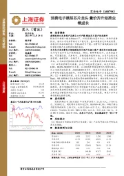 消费电子模拟芯片龙头 量价齐升助推业绩成长