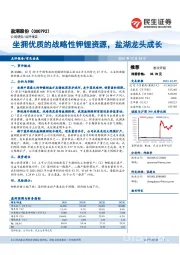 坐拥优质的战略性钾锂资源,盐湖龙头成长
