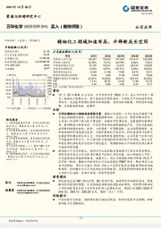 精细化工领域加速布局,开辟新成长空间
