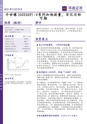 V系列加快放量，百亿目标可期
